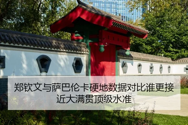 郑钦文与萨巴伦卡硬地数据对比谁更接近大满贯顶级水准（MILAN）